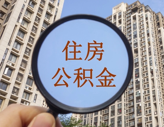 禹州公积金一次性提（公积金一次性提取要求）